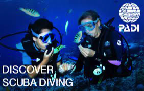 Discover Scuba Diving