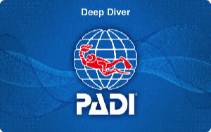 Deep Diver