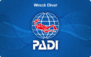 Wreck Diver