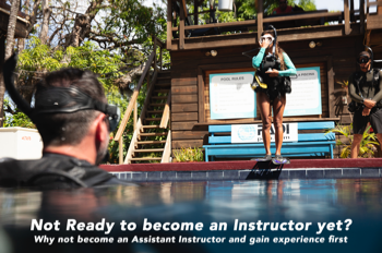 Assistant Instructor